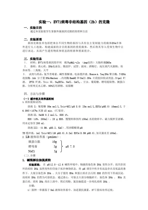 蛋白质的原核生物表达与纯化实验大纲