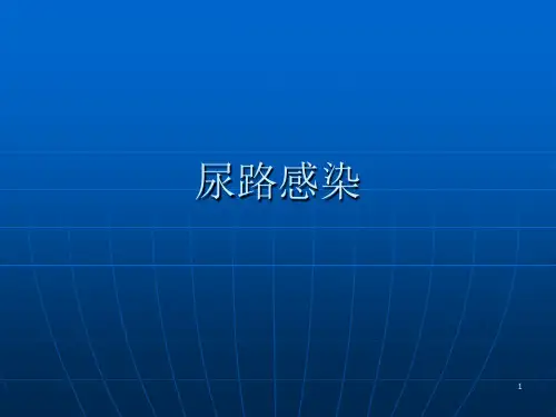 急性肾盂肾炎ppt课件