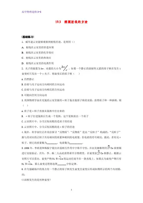 高中物理选修3-5课时作业5：19.3 探测射线的方法