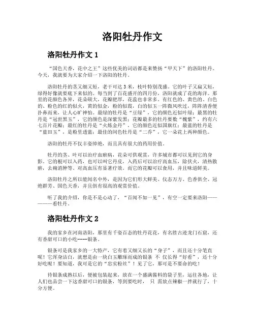洛阳牡丹作文