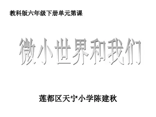 教科版六年级下册第一单元第8课