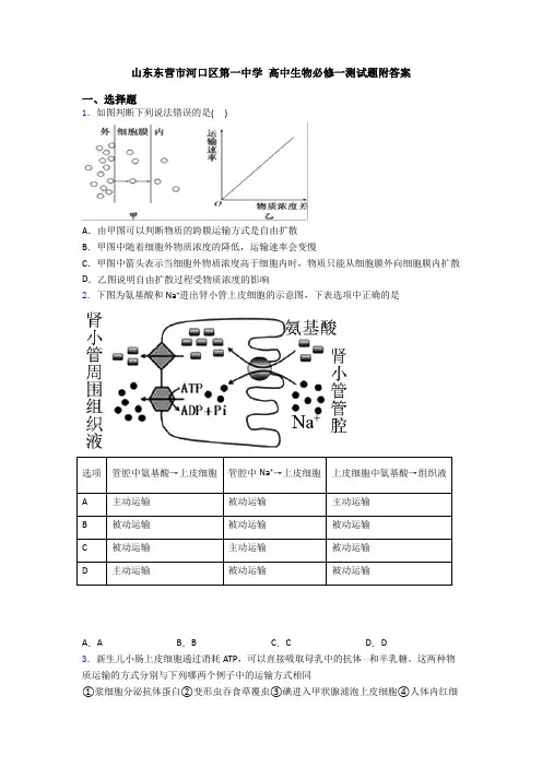 山东东营市河口区第一中学 高中生物必修一测试题附答案