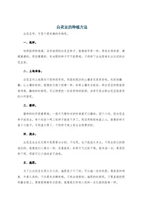 白花豆的种植方法