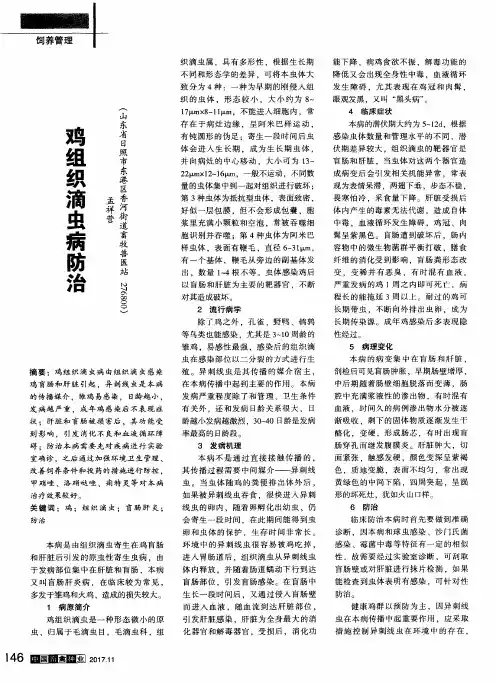 鸡组织滴虫病防治