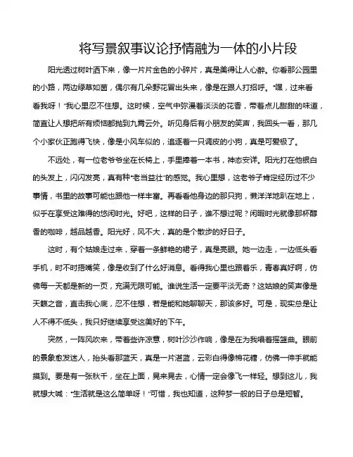 将写景叙事议论抒情融为一体的小片段