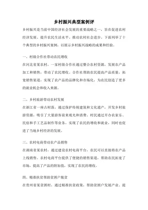 乡村振兴典型案例评