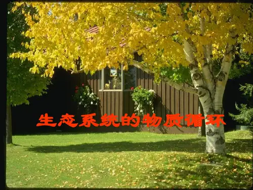 人教版高中生物必修三第5章第3节 生态系统的物质循环 课件(共32张PPT)