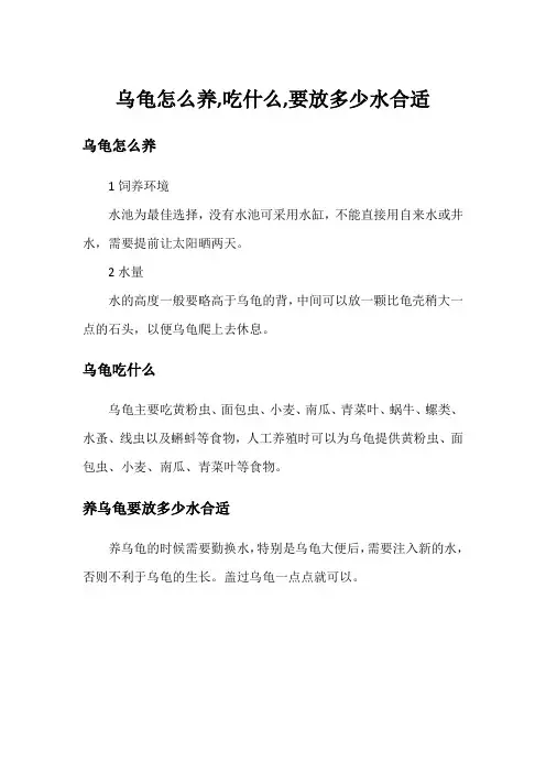 乌龟怎么养,吃什么,要放多少水合适