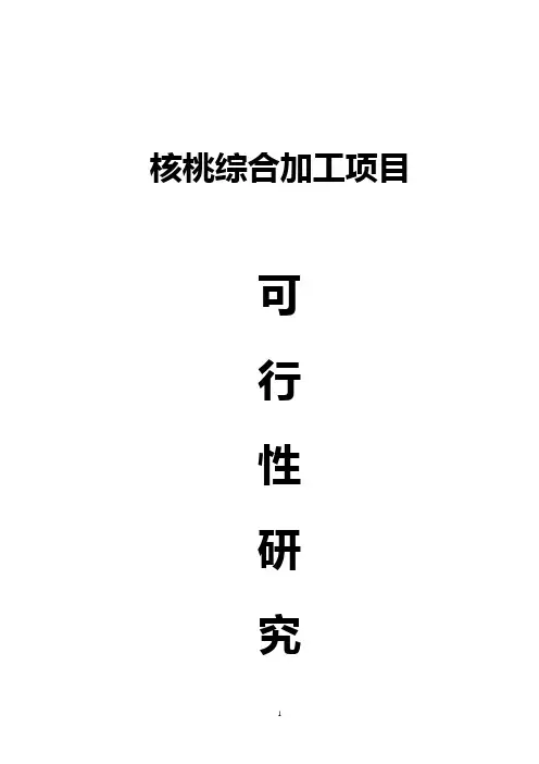核桃综合加工可行性研究报告