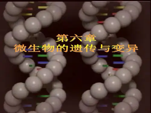 《微生物遗传与变异》PPT课件