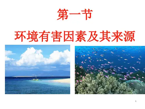 预防医学-环境与健康-PPT