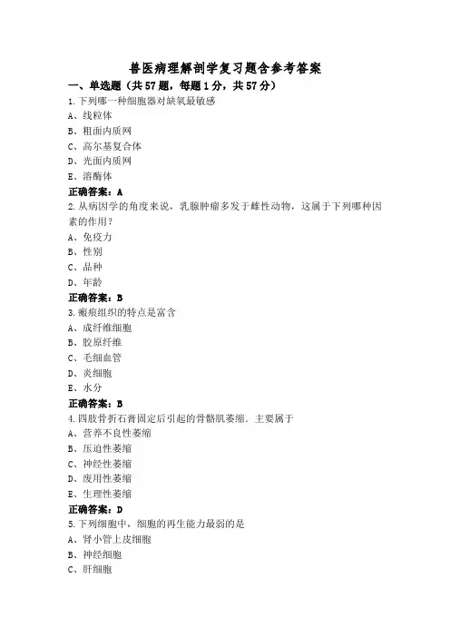 兽医病理解剖学复习题含参考答案