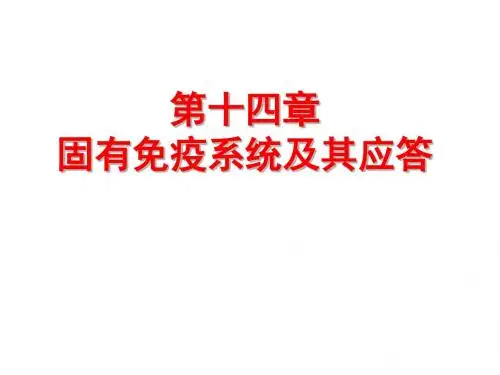 医学免疫学14章 固有免疫系统及其应答