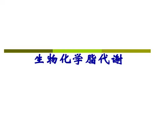 生物化学脂代谢