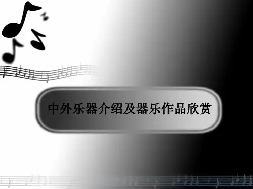 中外乐器介绍及器乐作品欣赏
