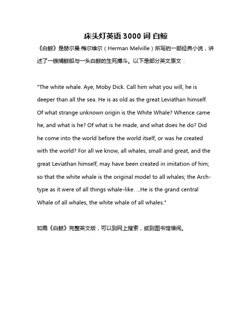 床头灯英语3000词 白鲸