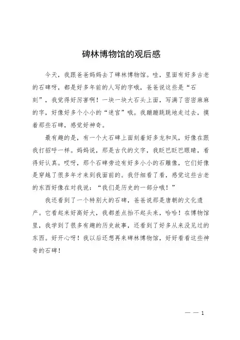 碑林博物馆的观后感