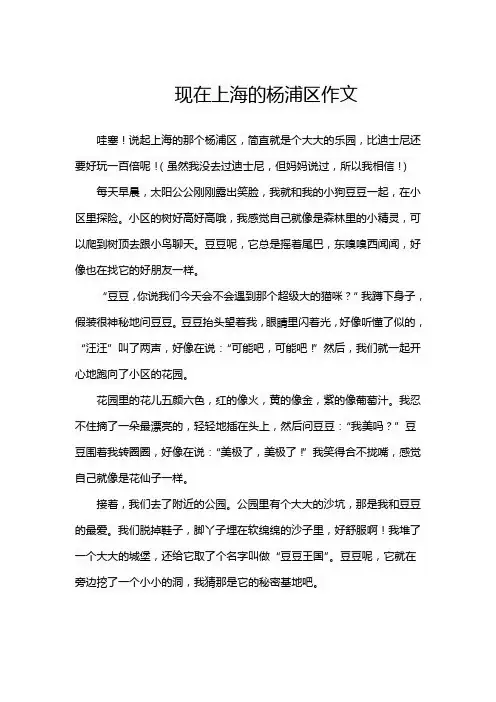 现在上海的杨浦区作文