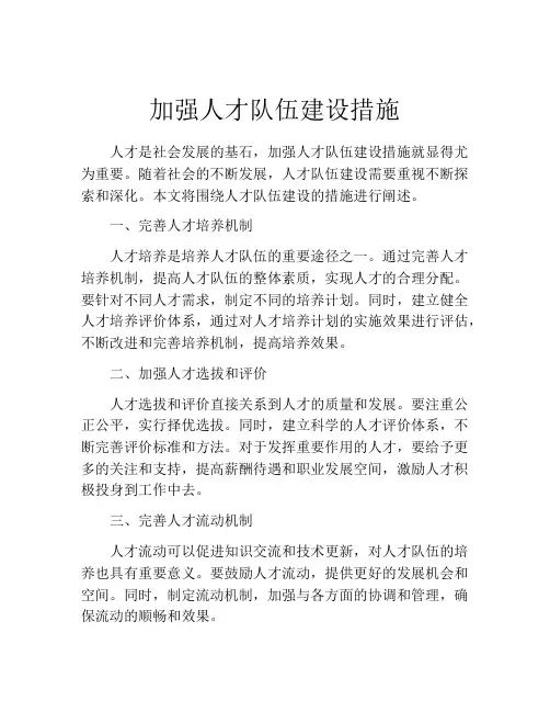 加强人才队伍建设措施