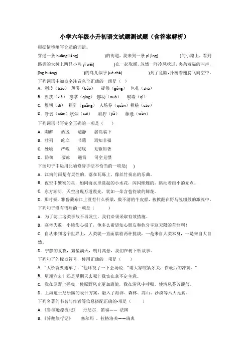 小学六年级小升初语文试题测试题(含答案解析)