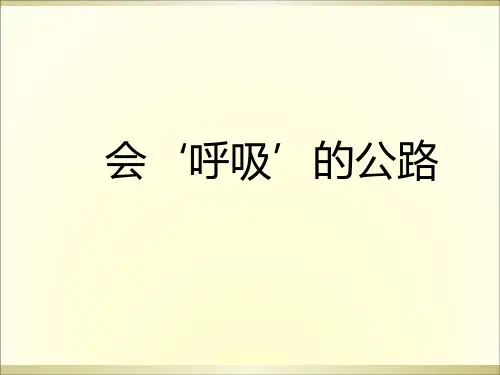 三年级上册语文阅读课件-13.会“呼吸”的公路 l 西师大版 (共11张PPT)