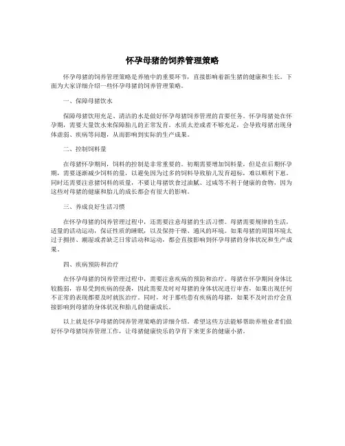 怀孕母猪的饲养管理策略