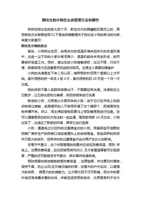 刚出生的小狗怎么养管理方法有哪些