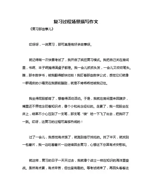 复习过程场景描写作文