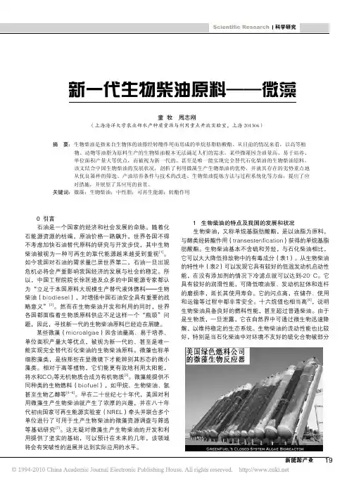 新一代生物柴油原料_微藻