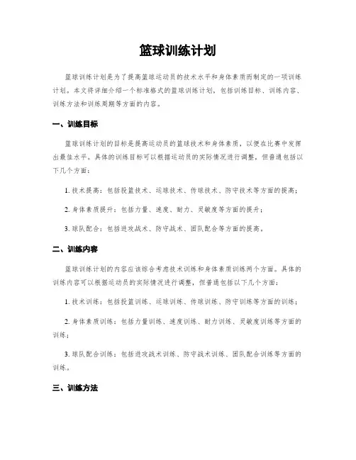 篮球训练计划