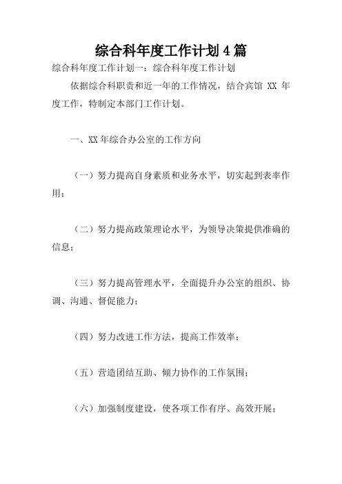 综合科年度工作计划4篇