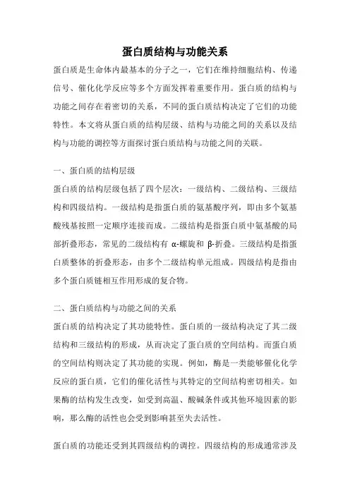 蛋白质结构与功能关系