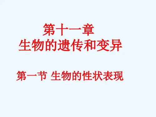 《第一节 生物的性状表现》 课件