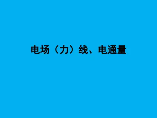 高二物理竞赛课件：电场(力)线、电通量