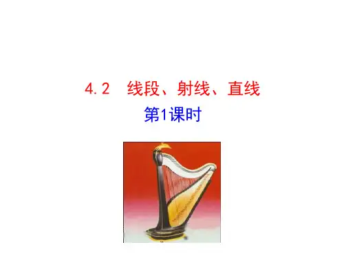 4.2  线段、射线、直线   第1课时课件  2024—2025学年湘教版数学七年级上册