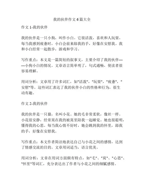 我的伙伴作文6篇大全