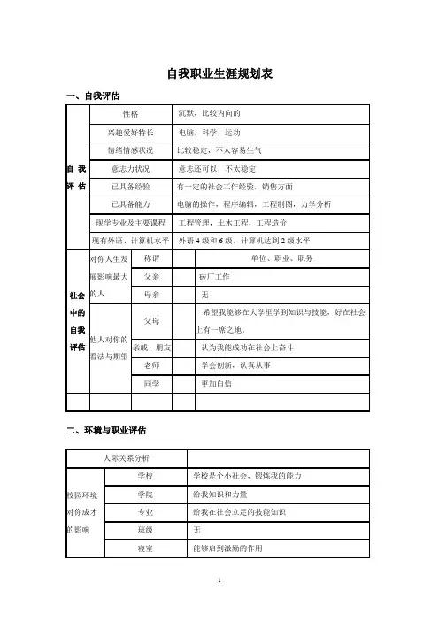 大学生职业生涯规划表格
