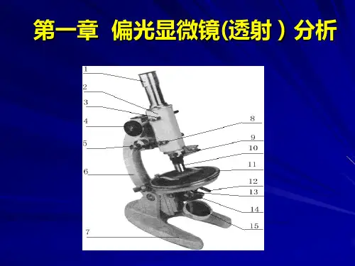 2.偏光显微分析