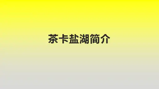 茶卡盐湖简介