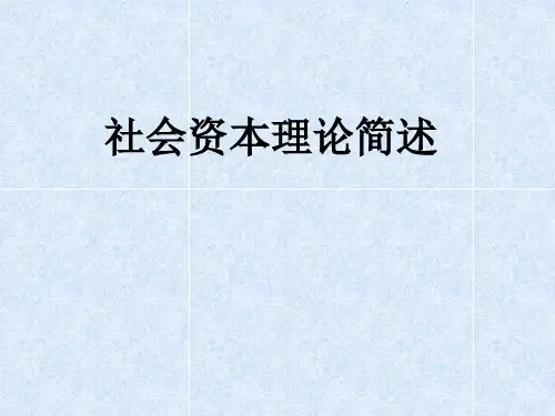 社会资本理论简述ppt课件