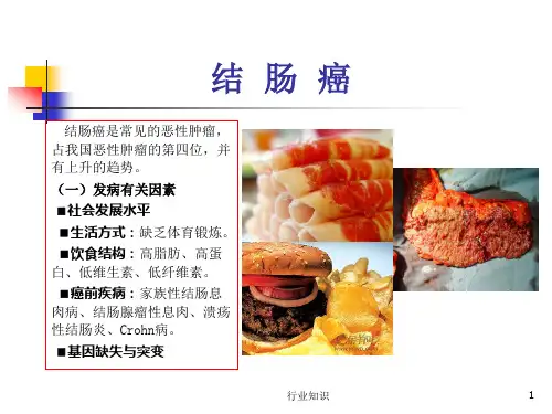 PPT课件结肠癌[荟萃知识]