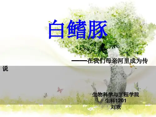 白鳍豚保护