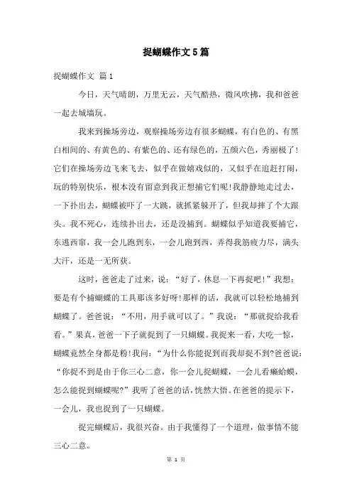 捉蝴蝶作文5篇