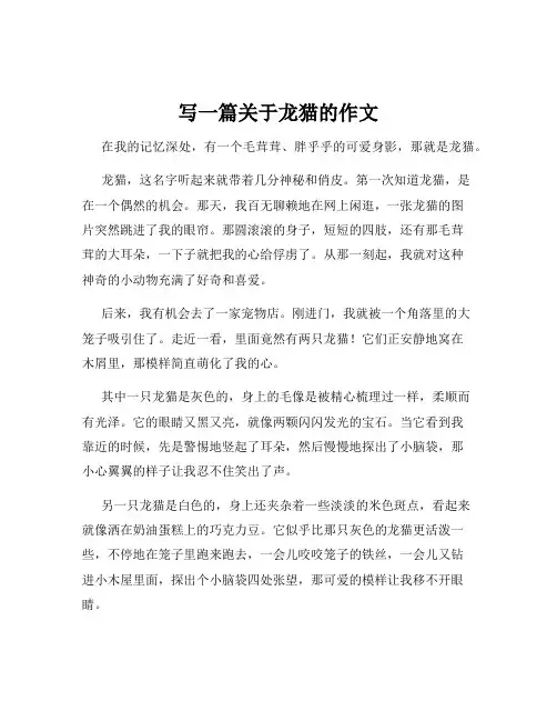 写一篇关于龙猫的作文