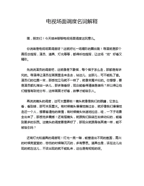 电视场面调度名词解释