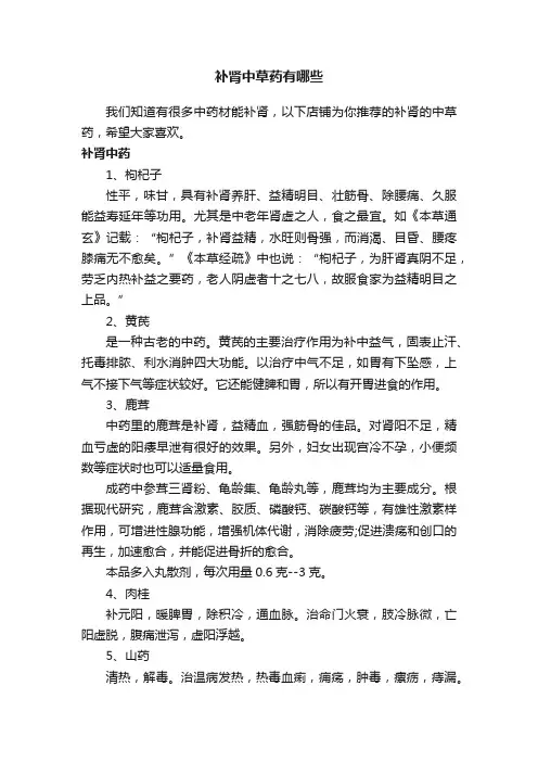 补肾中草药有哪些