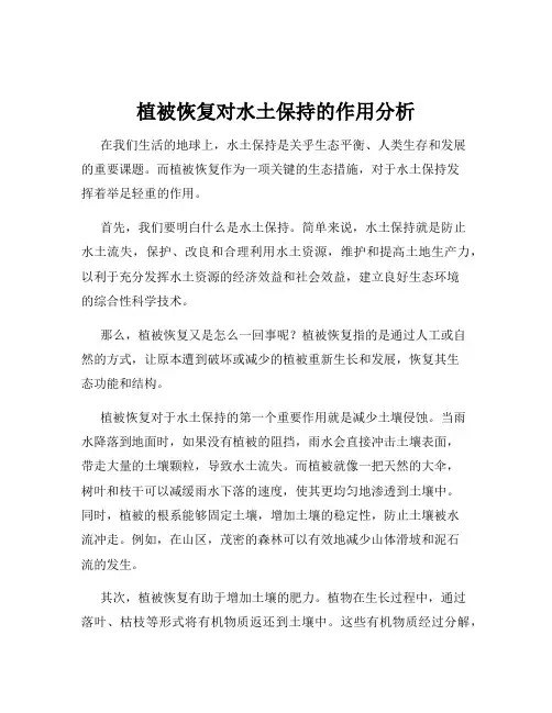 植被恢复对水土保持的作用分析