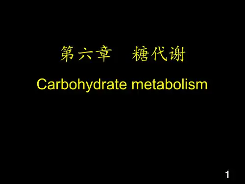 生物化学课件：04第六章 糖代谢