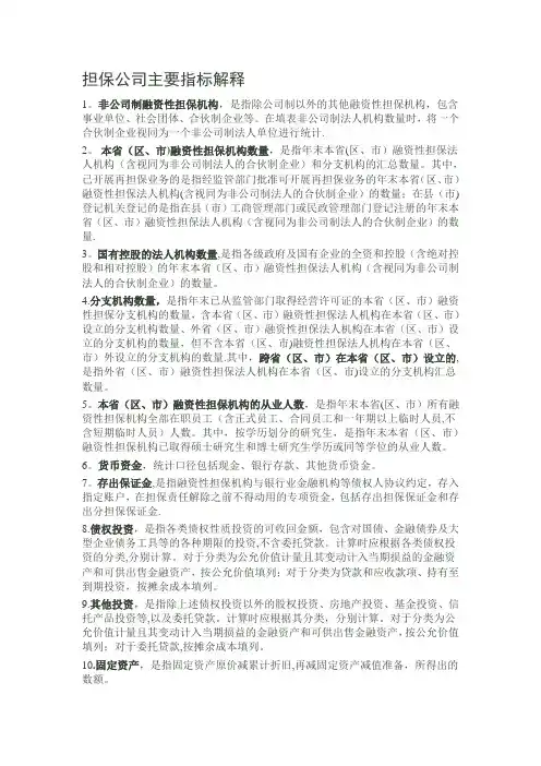 担保公司主要指标解释