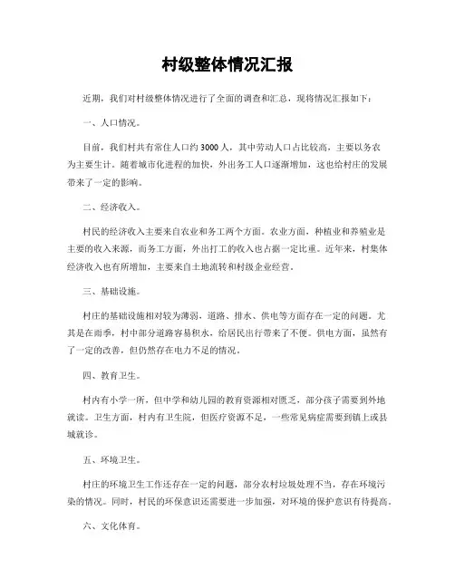 村级整体情况汇报